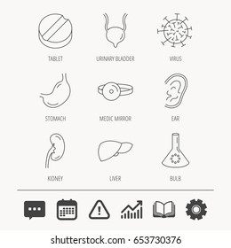 Virus, tablet and stomach organ icons. Liver, kidney and urinary bladder linear signs. Medic mirror, ear and lab bulb flat line icons. Education book, Graph chart and Chat signs. Vector