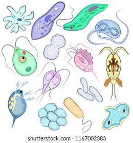 Virus vectorial infección bacteriana enfermedad tipo virus ilustración bacteria virulenta conjunto de microbiología microbio o bacterias aisladas en fondo blanco