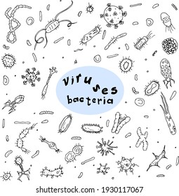 Viruses and Bacteria doodle drawing collection. Hand drawn doodle illustrations isolated over white background.
