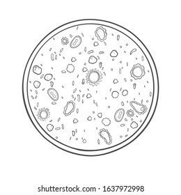 Viruses and bacteria in a petri dish. Vector illustration