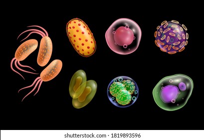 Viruses and bacteria realistic 3d microscopic isolated vector cells. Illness, disease bacterium and microorganism. Colorful pathogen contagious infection micro germs, microbiology science icons set