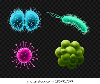 Viruses and bacteria set. Microscopic cells. Realistic vector illustration isolated on transparent background