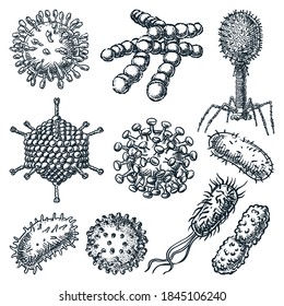 Viruses and bacterium set isolated on white background. Hand drawn vector sketch illustration. Hepatitis, rotavirus, coronavirus, Koch bacillus, HIV and streptococcus disease icons