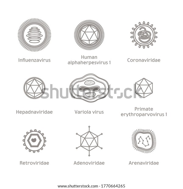 Viruses Collection in Flat Style,\
Microorganisms Disease Causing Objects. Different Types of\
Bacteria, Viruses, Coronavirus, Influenza, Retrovirus,\
Herpes.