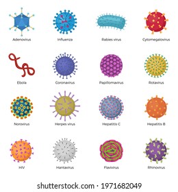 Viruses illustrations. Microb bacillus ebola microorganism pictogram pharmaceutical laboratory symbols recent vector microorganism signs templates