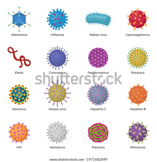 114 Rhinovirus Stock Vectors, Images & Vector Art | Shutterstock