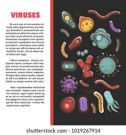 Afiche científico informativo de virus con microorganismos simples