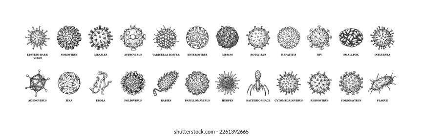 Viruses with names isolated on white background. Different types of microscopic microorganisms. Vector illustration in sketch style