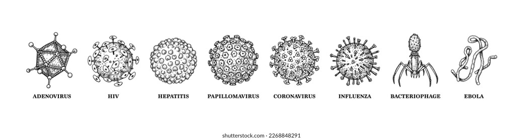 Viruses with names isolated on white background. Different types of microscopic microorganisms. Vector illustration in sketch style