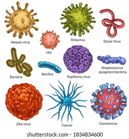 Viruses. Sketch color herpes, hiv and papilloma, zika and coronavirus. Cancer, streptococcus cells. Germs and bacteria isolated vector set. Illustration coronavirus disease, bacteria infection