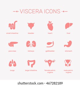 Viscera vector illustration. The internal human organs icons set. Viscera signs with captions. 
