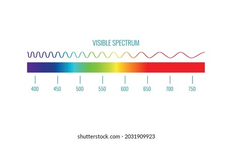 Visible Color Spectrum Realistic Infographics On Stock Vector (Royalty ...