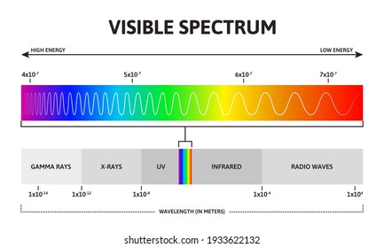 Visible color spectrum. Sunlight wavelength and increasing frequency vector infographic illustration. Visible spectrum color range. Rainbow electromagnetic waves. Educational physics line