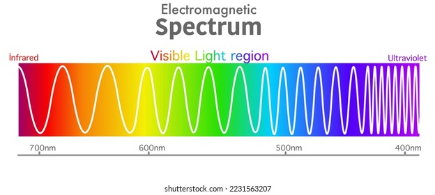 Visible electromagnetic spectrum diagram. Ultraviolet to infrared radiation. Wavelength range. Red, orange, yellow, green, blue, purple, violet color light, rainbow. Ultra violet to infra red. Vector