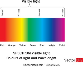 Visible light diagram. Color electromagnetic spectrum, light wave frequency. Vector. Rainbow colours, prismat. Fully good eyes. All colours in physics lights. Simulation of colors temperatures. 