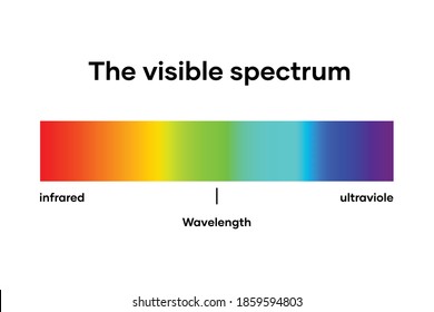 Visible light diagram. Color electromagnetic spectrum, light wave frequency. Vector illustration. 
White background