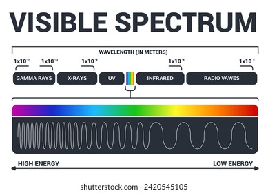 Diagrama de luz visible. Espectro electromagnético de color, frecuencia de onda luminosa. Antecedentes vectoriales de la física de la escuela educativa. Ilustración del diagrama de espectro arco iris, infrarrojos y electromagnéticos