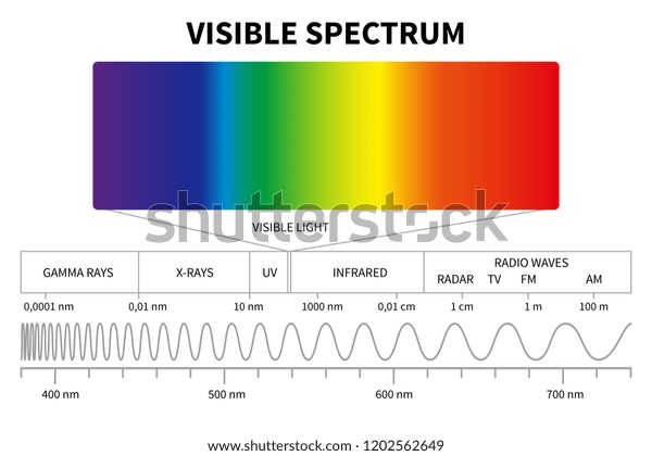 Visible light diagram. Color
electromagnetic spectrum, light wave frequency. Educational school
physics vector background. Illustration of spectrum diagram
rainbow, infrared and
electromagnetic