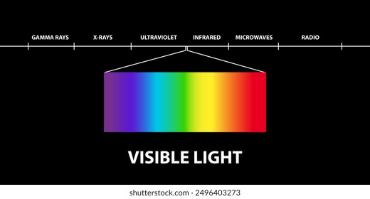 Visible light region of the electromagnetic spectrum, visible to human eye, electromagnetic radiation , low, high, radio waves, microwaves, gamma rays, x rays, ultraviolet, infrared