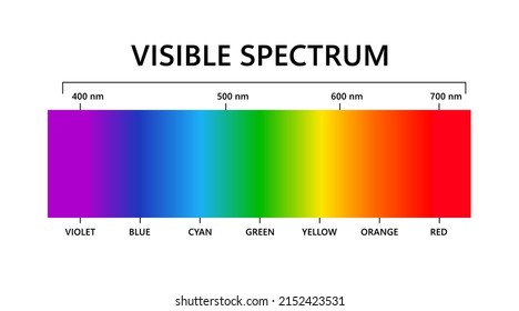 Visible light spectrum. Electromagnetic visible color spectrum for human eye. Vector gradient diagram with wavelength and colors. Educational illustration on white background.