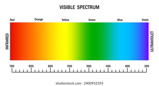 Espectro de luz visible. Diagrama de degradado con longitud de onda y colores. Infrarrojo y ultravioleta. Espectro de color visible electromagnético para el ojo humano. Ilustración vectorial. EPS 10.