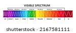 Visible light spectrum, infared and ultraviolet. Optical light wavelength. Electromagnetic visible color spectrum for human eye. Gradient diagram. Educational vector illustration on white background.