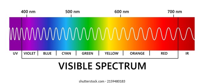 Visible Light Spectrum, Infared And Ultraviolet. Light Wavelength. Electromagnetic Visible Color Spectrum For Human Eye. Gradient Diagram. Educational Vector Illustration On White Background.