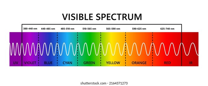 Visible light spectrum, infared and ultraviolet. Optical light wavelength. Electromagnetic visible color spectrum for human eye. Gradient diagram. Educational vector illustration on white background.