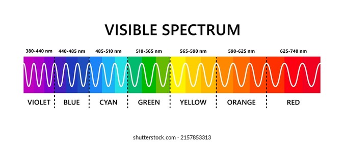 Visible light spectrum. Optical light wavelength. Electromagnetic visible color spectrum for human eye. Vector gradient diagram with wavelength and colors. Educational illustration on white background