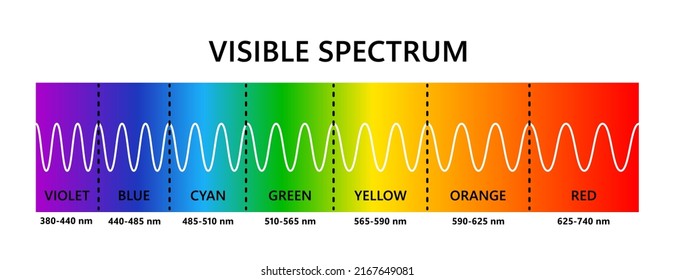 Espectro de luz visible. Longitud de onda de la luz óptica. Espectro de color visible electromagnético para el ojo humano. Diagrama de gradientes vectoriales con longitud de onda y colores. Ilustración educativa sobre fondo blanco