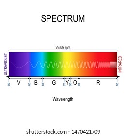 Visible Spectrum Color. Infographic Of Sunlight Color. In Order Of Increasing Frequency And Decreasing Wavelength. Range Of Spectrum From 350 To 750 Nanometer. Vector Illustration