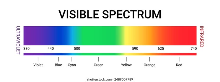 Visible spectrum color wavelength uv gamma vector illustration. Visible light spectrum science diagram