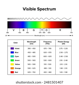 Sichtbares Spektrum, Diagramm des sichtbaren Lichts mit einer Tabelle der Wellenlängen, Frequenzen und Fotonenenergien der Spektralfarben. Band des elektromagnetischen Spektrums, das für das menschliche Auge sichtbar ist.