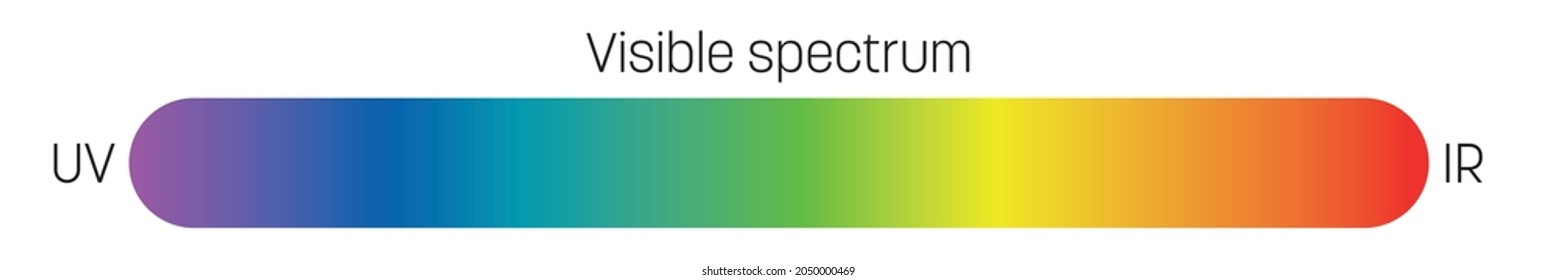 Visible spectrum of light. Electromagnetic spectrum visible by human eye. Simple schematic banner with rainbow gradient effect. Vector illustration