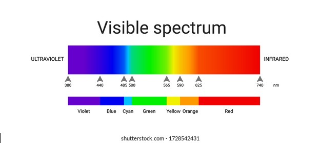 visible spectrum light. infographic of sunlight wavelength. vector illustration