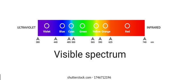 visible spectrum light. infographic of sunlight wavelength. vector illustration