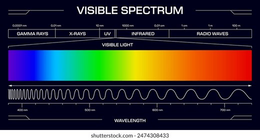 Visible spectrum light, Vector diagram, showing the range of electromagnetic wavelengths from violet to red, includes gamma rays, x-rays, uv, infrared and radio waves frequency scale in nanometers