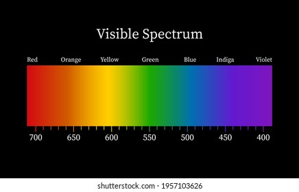 Visible spectrum on black background. Color electromagnetic spectrum, light wave frequency. Vector illustration. 