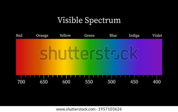 Visible Spectrum On Black Background Color Stock Vector (Royalty Free ...