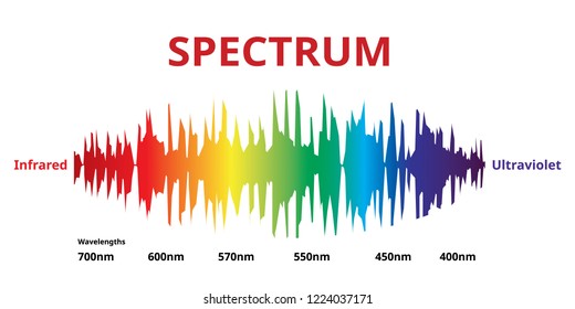 Visible Spectrum Wave That Visible To The Human Eye, Sunlight Color,  Vector