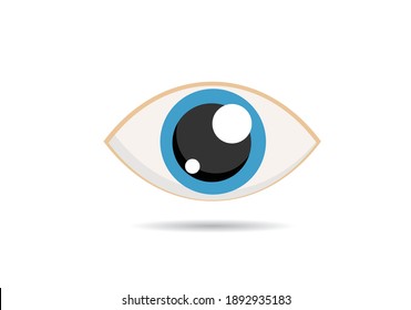 vision eye  icon. flat eye  icon