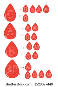 visual blood group compatibility  diagram