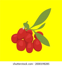 
diseño visual, ilustración, vector, goji berry y clip de arte
