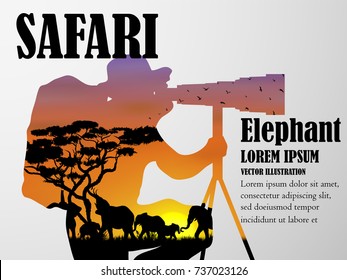 Visual double exposure drawing silhouettes of beautiful elephant animal wildlife collection in Africa or Savannah, concept travel in the zoo, abstract sunset background for vector illustration