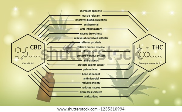 緑の背景に Cbdとthcの違いを視覚的に描いた結果 ベクターイラストを使用して 人間の体のコンセプト医療に効果的な または特性を与えることができます のベクター画像素材 ロイヤリティフリー