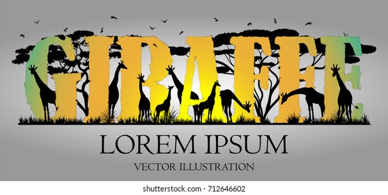 Visual drawing of giraffe text design and silhouette of giraffe on the Africa landscape with wildlife and sun background for vector illustration