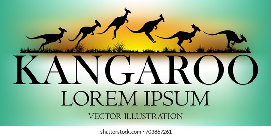 Visual drawing of kangaroo text design and silhouette of kangaroo in australia safari landscape with wildlife and sunset background for vector illustration