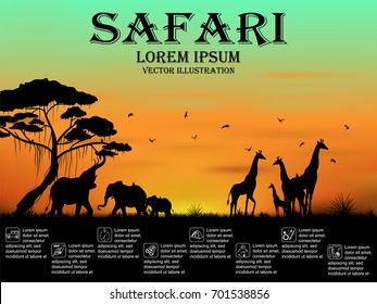 Visual drawing of safari text design and silhouette of animal in Africa landscape with wildlife and sunset background for vector illustration,tourism brochure