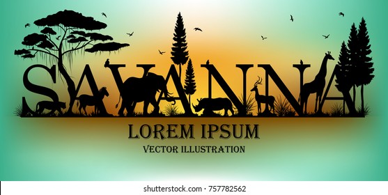 Visual drawing of savanna text design and silhouette of animal on Australia map of landscape with wildlife and sunset background for vector illustration