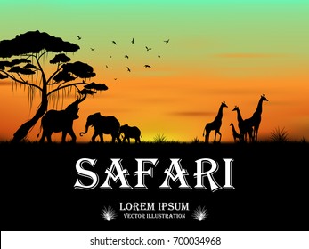 Visual drawing silhouette of animal wildlife in Africa with wild and sunset background for vector illustration,travel concept
